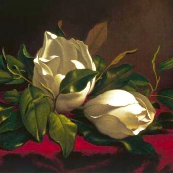 Giclee Print: Magnolia Still Life I Framed and Matted - Picture 2 of 14